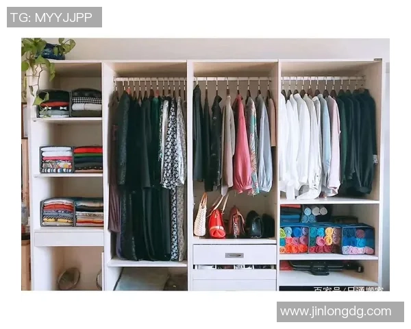 如何巧妙收纳足球星卡提高收藏空间整理技巧全攻略 如何巧妙收纳足球星卡提高收藏空间整理技巧全攻略